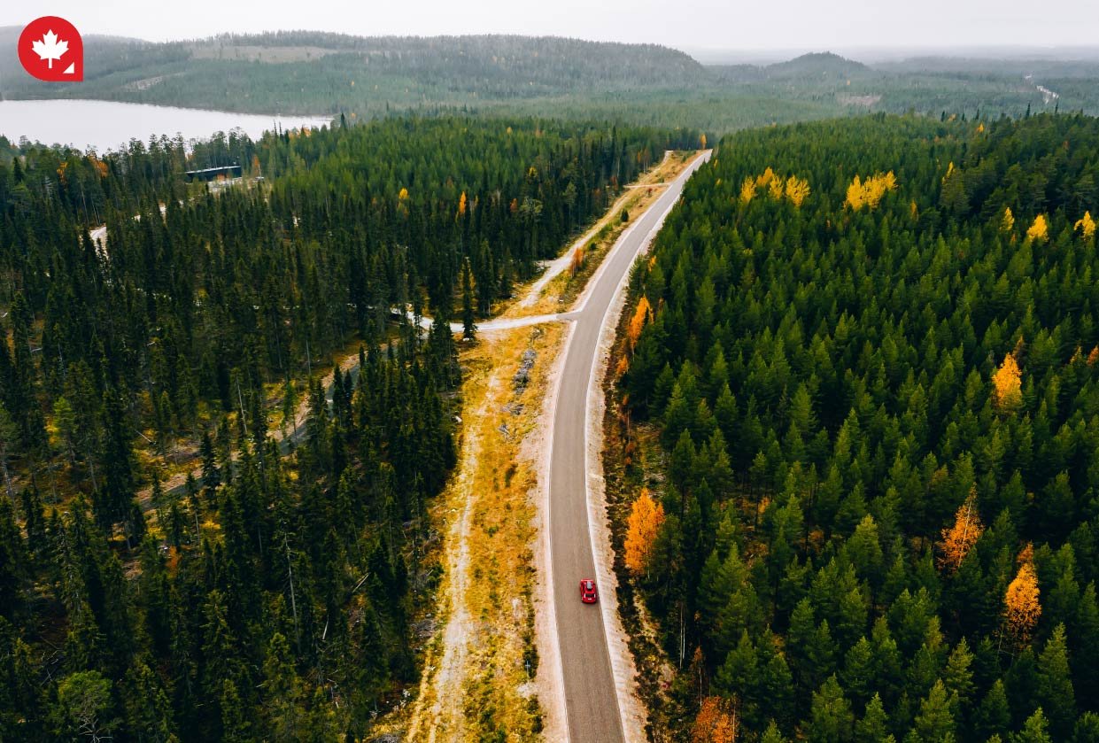 Car Rental & Driver's License in Canada CanadianVisa